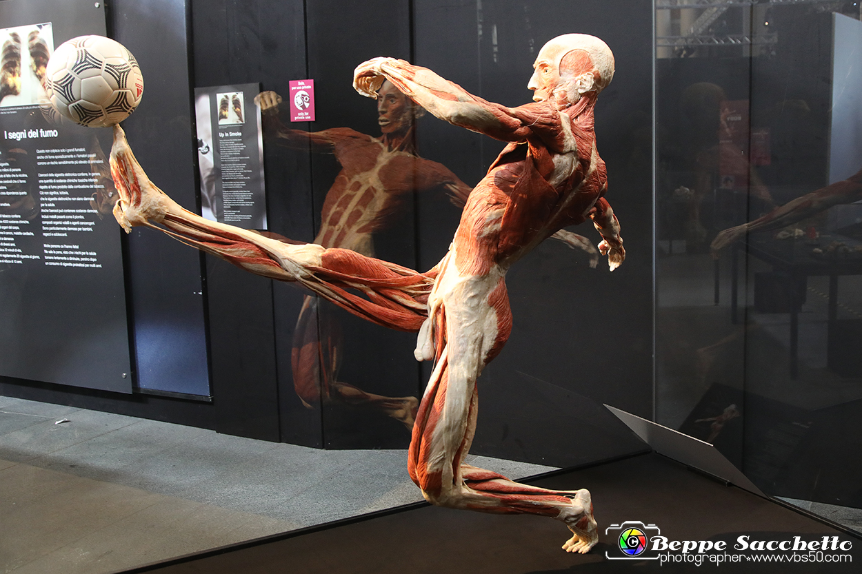 VBS_2626 - Mostra Body Worlds.jpg